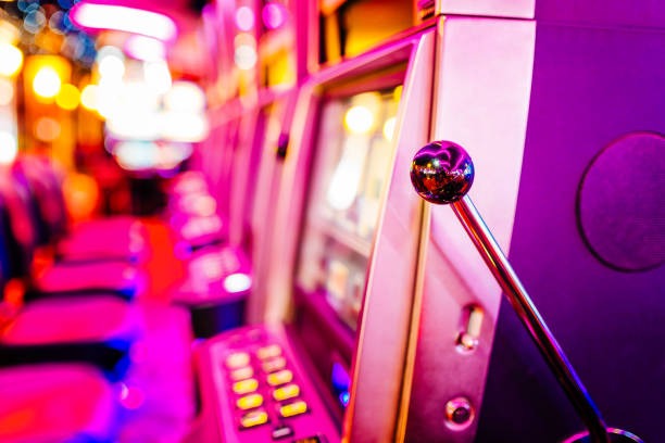 nikita togel featured game showcase